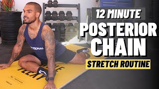 Stretches For The Posterior Chain Follow Along Routine [upl. by Irehj]