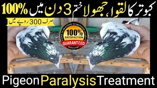 Kabotar k Laqwa ka ilaj 100 Laqwajhola ka elaj Treatment of pigeon paralysis  neck paralysis [upl. by Lairret]