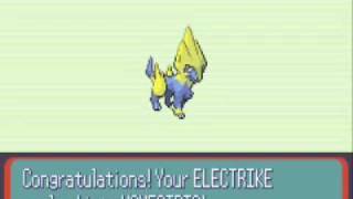 pokemon electrike evolves in pokemon sapphire [upl. by Rod791]