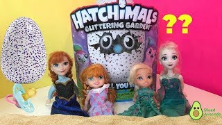 Hatchimals Toddler Elsa Anna New Baby Egg Boy Or Girl ts Play Time [upl. by Etienne]