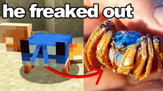 I Got My Brother His Minecraft Crab in Real Life [upl. by Annawad]