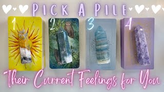 HOW THEY ARE CURRENTLY FEELING ABOUT YOU😏💓 Pick A Card🔮 Love Tarot Reading with Charms✨ [upl. by Glennis977]