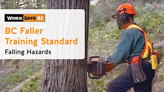 BC Faller Training Standard  Falling Hazards 13 of 17 [upl. by Dilaw648]