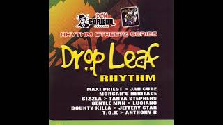 Drop Leaf Riddim Mix  Rubb a Dube Sound [upl. by Ekoorb124]