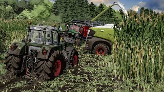 Maize silage harvest in EXTREME MUD  Every tractor get stuck  Farming Simulator 22 [upl. by Salvatore769]