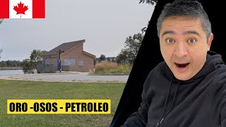 Inmigracion Rural y Norte asi es Timmins ontario Canadâ [upl. by Hite]