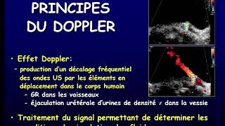 échographie rénale [upl. by Evad]