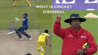 Types of dismissals in Cricket How many do you know [upl. by Ahsiekahs]