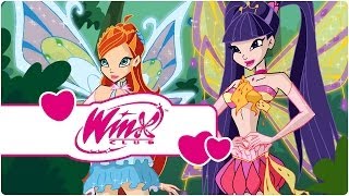 Winx Club  Season 4 Episode 2  The tree of life clip3 [upl. by Assej983]