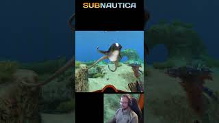 Playingwithcuddlefish Subnautica pelirami subnauticaisnotahorrorgame [upl. by Issac159]