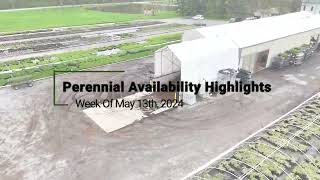 Perennial Availability Highlights Week of 513 [upl. by Sesmar750]