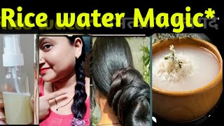 7 Day challengeMagical Rice water for extreme hair growth get smooth straight shiny hairRice water [upl. by Luebke186]