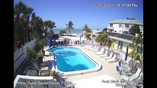 White Sands Beach Resort Anna Maria Island Florida  Live Pool Camera [upl. by Freudberg]