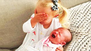 Legendary Moments When Kids Meet Newborn Babies  Funny Baby Siblings [upl. by Achilles]