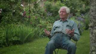 WS Merwin Documentary Teaser  EVEN THOUGH THE WHOLE WORLD IS BURNING [upl. by Nahallac496]