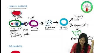 Antigen PART I  Types of Antigens  Immunogenicity  Antigenicity  Complete amp Incomplete Antigens [upl. by Adyam]