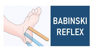 Babinski Reflex Plantar Reflex [upl. by Farland]