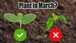 10 Vegetables to Plant in March [upl. by Zetroc957]