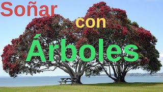 Sonar con árboles 🌳 [upl. by Emmons]