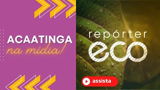 Associação Caatinga no Repórter Eco [upl. by Nomma]