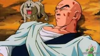 DBZ  Dende heals Tien [upl. by Robers]