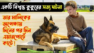 A Dog Named Palma 2021 Movie Explained In Bangla  Russian Movie  Cinema max point [upl. by Alinoel]