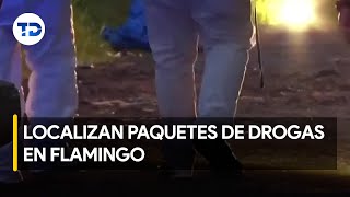 Pérdida de drogas en desplazamientos desencadenan ola de criminalidad [upl. by Llertram261]