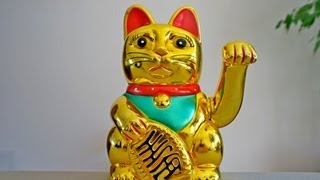 Lucky Cat [upl. by Agata]