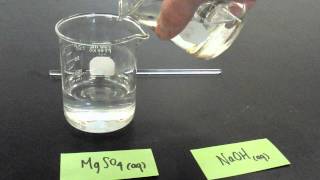 Precipitation Reaction [upl. by Ahsema]