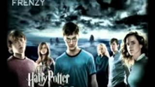 Harry Potter Dubstep Remix [upl. by Theurich]