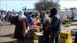 Tunisie Djerba le marché aux legumes de Midoun [upl. by Bultman]