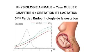 Chapitre 63 Hormones et gestation [upl. by Weiler]