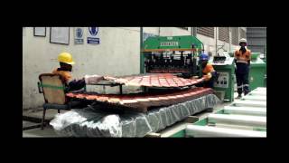 The Safal Group Corporate Video [upl. by Razal155]