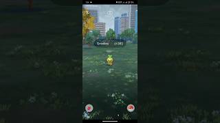 Catch Grookey Pokemon sport light event and catch 100iv three star ✨✨ Pokemon pokemonex pokemontom [upl. by Harmon303]