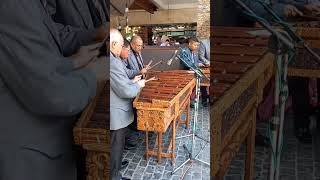 Con bateria Inicia LA GUARACHITA DE YESENIA marimba Teclas Morenas guaracha guatemala 24 [upl. by Gifferd]