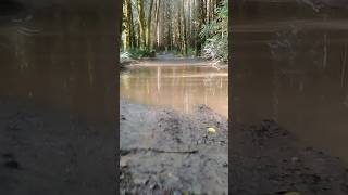 Puddle fun jeep britishcolumbia 4wd247 mud muddling jeepjl [upl. by Nivar143]