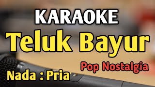 TELUK BAYUR  KARAOKE  NADA PRIA COWOK  Pop Nostalgia  Enie Djohan  Live Keyboard [upl. by Jarv]