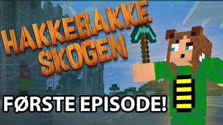 NY MINECRAFT SERIE  Hakkebakkeskogen 1 [upl. by Melquist98]