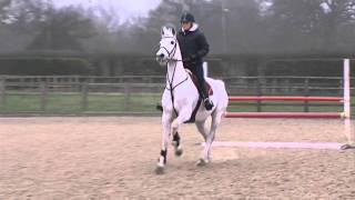 Showjumping  Dan Neilson At Home  April 2011 [upl. by Ohploda]