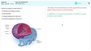 Dive into Cell Biology NEET 2015 Botany Q87  Solved Paper Insights of the Unit of Life [upl. by Nevet32]