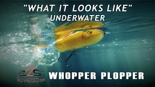 River2Sea Whopper Plopper  What it Looks Like Underwater [upl. by Rausch]