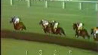 SECRETARIAT  1973 Man o War Stakes [upl. by Algar]