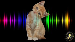 Attract Cats  Cats Meowing Sound Effect ASMR Background [upl. by Merkle]