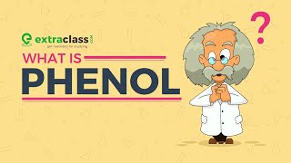 What is Phenol  carboxylic acid  Chemistry  Extraclasscom [upl. by Tidwell]