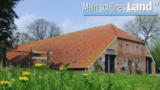 Sommer am Wattenmeer  die schönsten Höfe Norddeutschlands NDR [upl. by Valene]