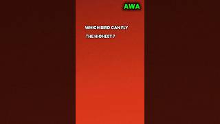 Which Bird Flies the Highest birds bird quiz shortsfeed [upl. by Nirret]