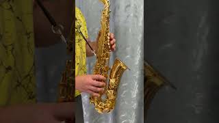 Yamaha 275 alto saxophone [upl. by Itsuj275]