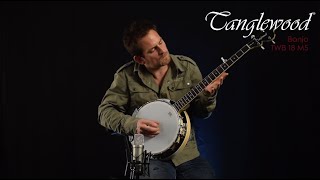 Test Son du banjo Tanglewood TWB18 M 5 par Brice Delage [upl. by Yddub]