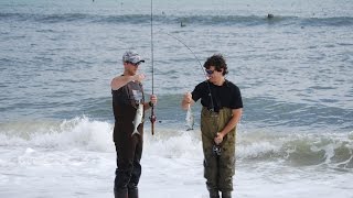 Outer Banks Surf Fishing for Bluefish [upl. by Ahsenar]