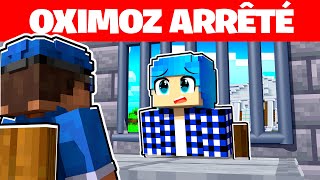 LA POLICE ME MET EN GARDE A VUE ET JE PASSE UN INTERROGATOIRE DANS MINECRAFT [upl. by Lorianne]